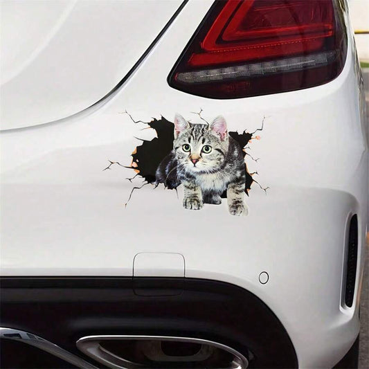 Sticker para vehículo diseño de Gato