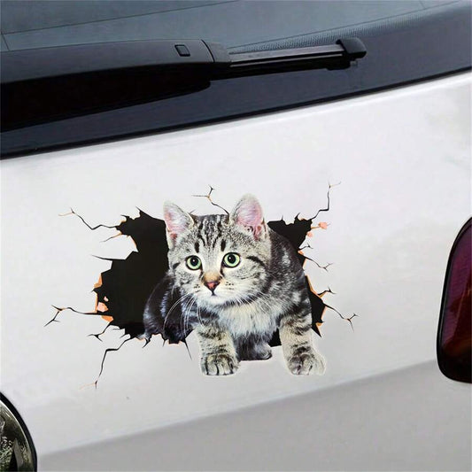 Sticker para vehículo diseño de Gato